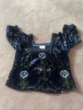 Anthropologie Navy Blue Velvet Floral Embroidered Square-Neck Blouse